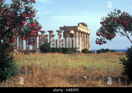 Temple grec à Sélinonte en Sicile, Italie Banque D'Images