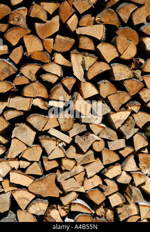 Pile de bois en Russie. Banque D'Images