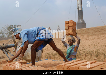 Image du village tribal Dalit personnes travaillant dans une briqueterie ou brique usine près de Chennai Tamil Nadu Inde Banque D'Images