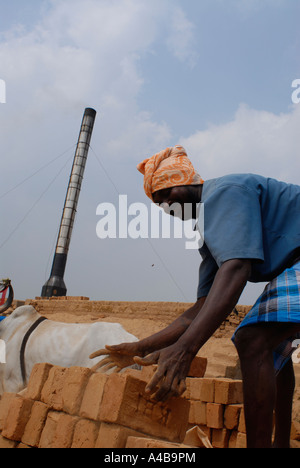 Image du village tribal Dalit personnes travaillant dans une briqueterie ou brique usine près de Chennai Tamil Nadu Inde Banque D'Images