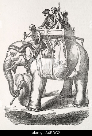 Warren Hastings elephant Inde Indian race mammifère Nature ivoire, monde naturel tropical jungle travail lourd forte howdah apprivoisés Banque D'Images