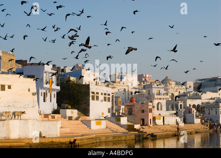 Image de l'echelle des Ghats à l'Hindu ville sainte de Pushkar Rajasthan Inde Banque D'Images