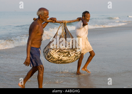 Les pêcheurs de Goa en transportant les sardines et le maquereau de leurs filets à Benaulim Beach Banque D'Images