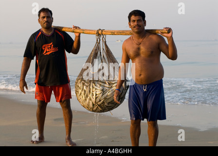 Les pêcheurs de Goa en transportant les sardines et le maquereau de leurs filets à Benaulim Beach Banque D'Images