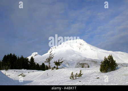 La neige a couvert 39 069,09660 Mount Hood dans l'Oregon, USA dans le milieu de l'hiver, ciel bleu -- 11 235 ft Paradis d'hiver. Banque D'Images