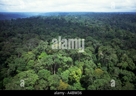 L'Amazonie, au Brésil. Vue aérienne de la forêt intacte sur un sol ondulé ; l'État de Roraima. Banque D'Images