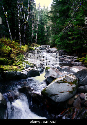 39 021,09314 Rocky Mountain Stream colorés s'enroulant vers le spectateur en cascade cascades mini Banque D'Images