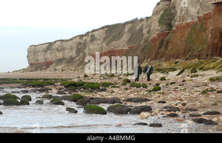 Couple en train de marcher à côté de Norfolk Hunstanton cliffs UK Banque D'Images