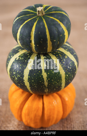 Trois citrouilles miniatures empilés Banque D'Images