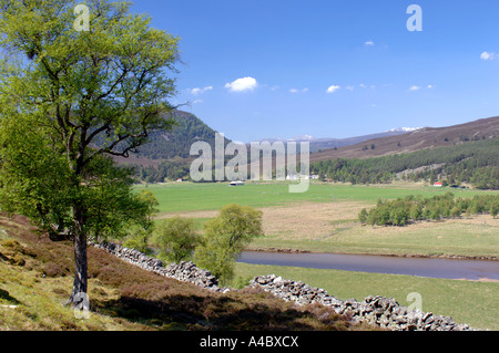 Rivière Dee qui coule qui coule à travers Mar Lodge, près de Braemar, région de Grampian. XPL 4637-436 Banque D'Images