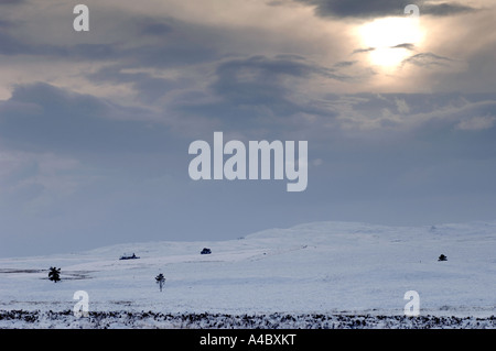 Lone Cottage sur Dava Moor en plein hiver. XPL 4690-440 Banque D'Images