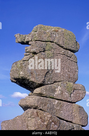 Le nez de Bowerman, Dartmoor National Park West Devon Pays. XPL 4704-441 Banque D'Images