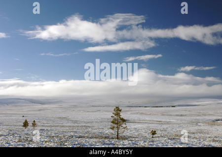 L'heure d'hiver sur Dava Moor Moray. XPL 4677-439 Banque D'Images