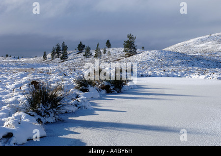 L'heure d'hiver sur Dava Moor Moray. XPL 4678-439 Banque D'Images