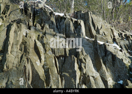 Basalte parfois appelé trap rock à la Mount Tom State Reservation à Holyoke Massachusetts USA Banque D'Images