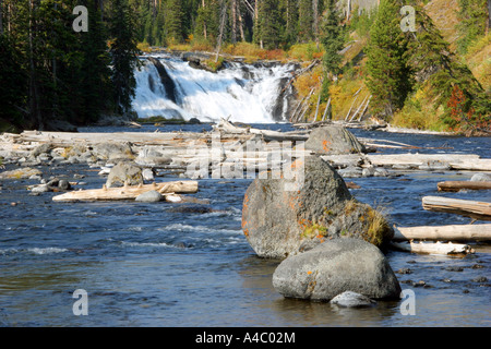 Lewis falls, parc national de Yellowstone, Wyoming Banque D'Images