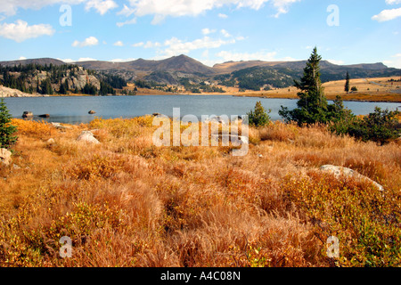 Lac de l'île au large de l'autoroute beartooth, forêt nationale de Shoshone, Wyoming