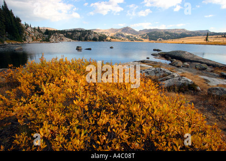Lac de l'île au large de l'autoroute beartooth, forêt nationale de Shoshone, Wyoming