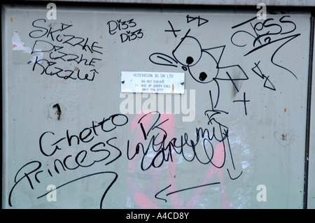 Graffiti sur un carter extérieur métal cadenassée Banque D'Images
