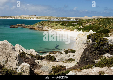 Une vue de gypsy cove et yorke bay près de Port Stanley dans les îles Falkland Banque D'Images