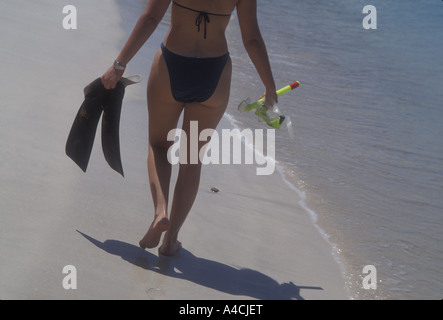 Jeune femme bikini , matériel de plongée île Culebra Puerto Rico Banque D'Images