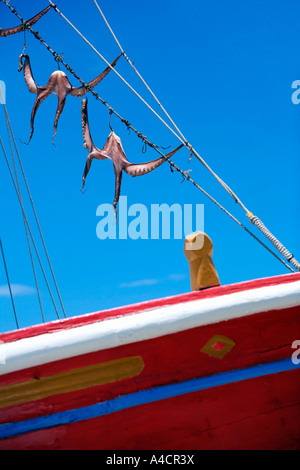 Octopus accroché à sécher sur le bateau Banque D'Images