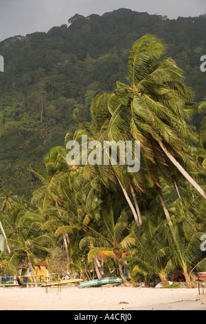 La Malaisie Pulao Tioman beach village Salang cocotiers Banque D'Images