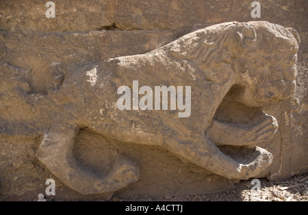 Lion sculpté sur la Tour des Lions, La Citadelle, Le Caire, Egypte Banque D'Images