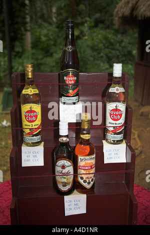 Plusieurs bouteilles de rhum Havana Club à vendre, Vinales, province de Pinar del Rio, Cuba Banque D'Images