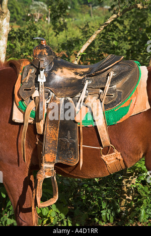 Une selle sur le dos d'un cheval, Cuba Banque D'Images