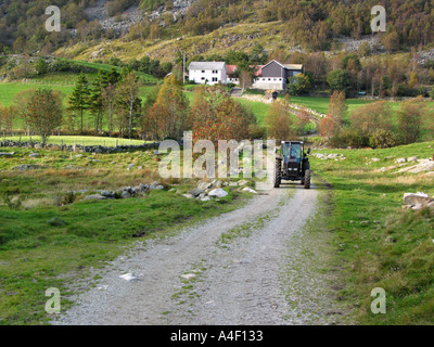 Ferme à l'ouest de la Norvège Banque D'Images