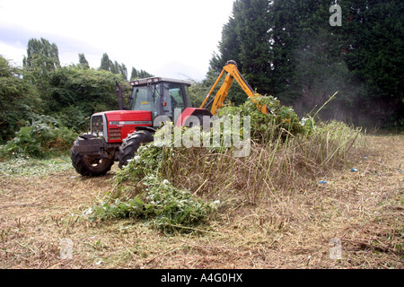 Travailleur agricole débroussaillage préventif sur les terres agricoles. Banque D'Images