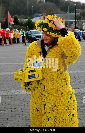 Une jeune fille couverte de jonquilles recueille pour '' marie Curie cancer à Truro, Cornwall, Angleterre Banque D'Images