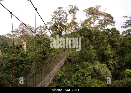 Malaisie Bornéo Sabah Danum Valley Rainforest Canopy et treetop walkway Banque D'Images