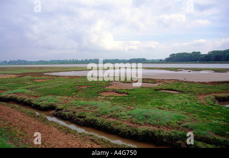 Tidal salt marsh Creek Butley Suffolk Angleterre Banque D'Images