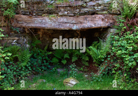 Cheminée en pierre de la vieille ruine cottage près de Llanberis Gwynedd Snowdonia dans le Nord du Pays de Galles UK Banque D'Images