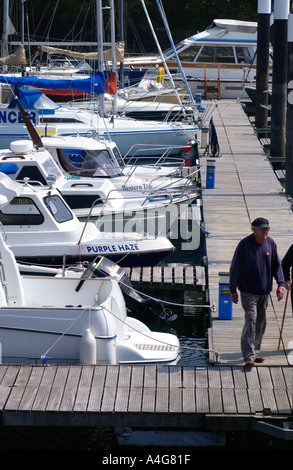 Les bateaux de plaisance amarrés dans la marina de Neyland West Wales Pembrokeshire UK man walking on jetty Banque D'Images