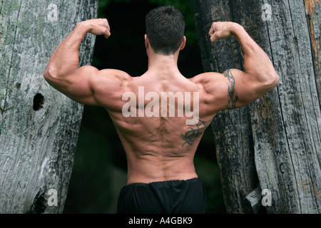 Mâle en forme super bodybuilder Banque D'Images