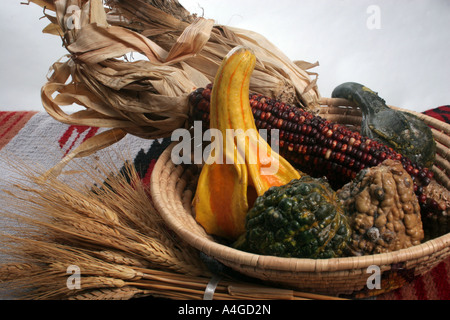 Native American panier sur une couverture, avec du maïs, des courges et du blé Banque D'Images