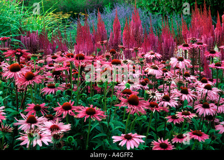 Pensthorpe Jardin Millenium Norfolk Banque D'Images