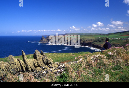 À l'échelle du Nord Bossiney Haven près de Tintagel, sur la côte nord de Cornwall Banque D'Images