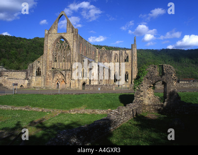 Abbaye de Tintern ruine Wye Valley Monmouthshire South Wales UK Banque D'Images