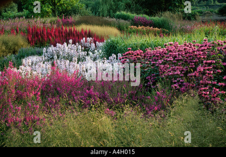 Pensthorpe Jardin Millenium Norfolk Banque D'Images