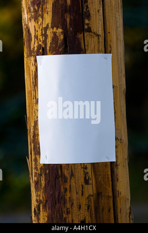 L'affiche en blanc sur un poteau de téléphone Banque D'Images