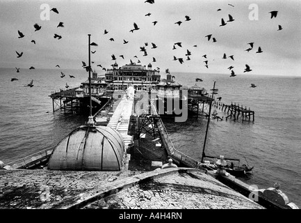 Les pigeons voler tourné sur le ramshackle Theatre à la fin de la jetée Ouest tumbledown à Brighton en juillet 1991. Banque D'Images