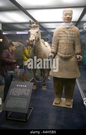 Cheval et soldat dans l'Armée de terre cuite de verre de Xi'an Chine JMH2050 Banque D'Images