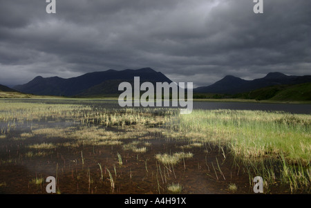 Arbres de lumière dorée sur le Loch Coultrie avec le Corbett Beinn Damh en arrière-plan, Glenblindaig, nord-ouest Highlands, Écosse Banque D'Images