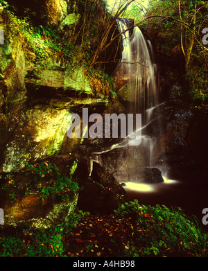 Roughting Cascade Linn, Northumberland England Banque D'Images