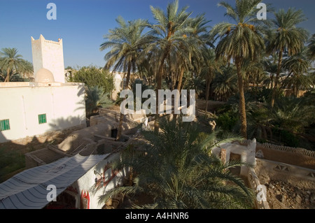 Palm Garden à Ghadamès, Ghadamis, site du patrimoine mondial de l'UNESCO, la Libye Banque D'Images