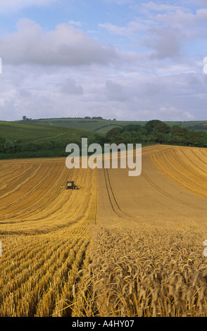 Moissonneuse-batteuse abandonnée après temps humide dans le comté de Dorset, Angleterre Royaume-uni 2004 Banque D'Images